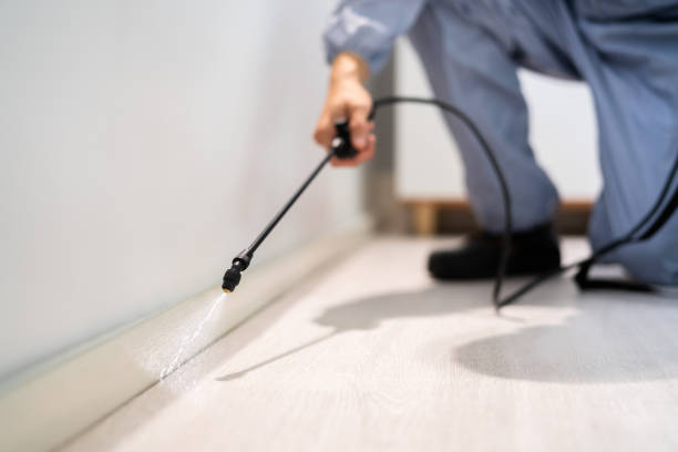 Licensed Pest Control service in Brilliant, AL - Show Me Pest Control