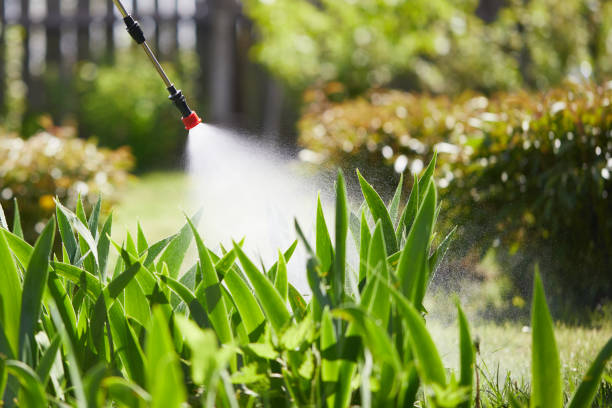 24/7 Emergency Wasp Removal experts in Brilliant, AL