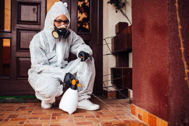 Reliable Wasp Removal contractor in Brilliant, AL by Show Me Pest Control