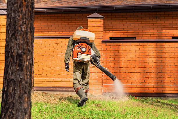 Top rated local Wasp Removal specialists in Brilliant, AL